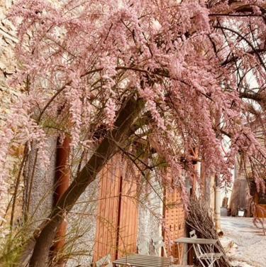 Gite Brin De Nature Au Coeur De La Nature Bugiste Ambérieu-en-Bugey 外观 照片