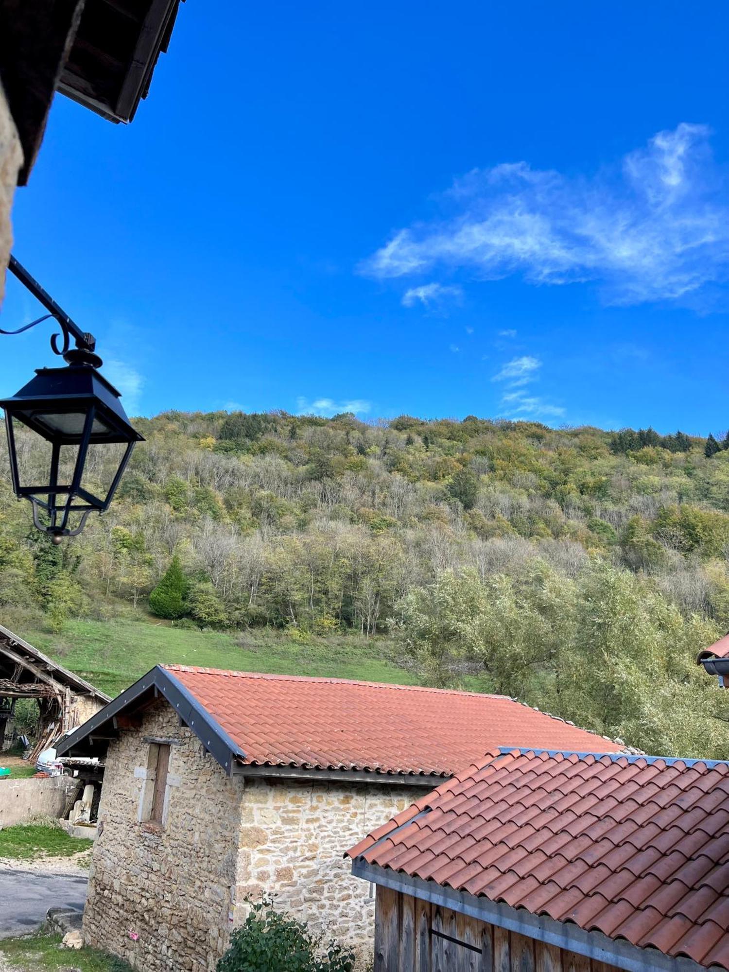 Gite Brin De Nature Au Coeur De La Nature Bugiste Ambérieu-en-Bugey 外观 照片